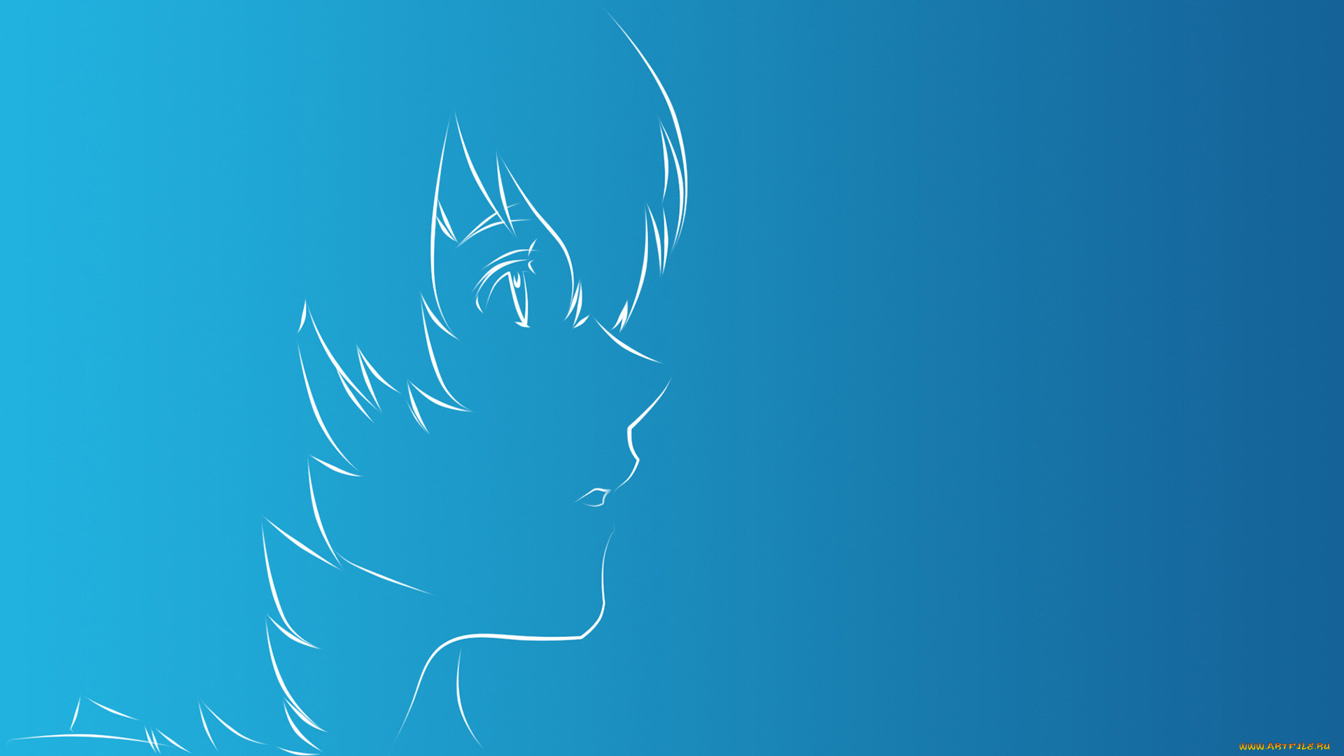 , zankyou no terror, , 